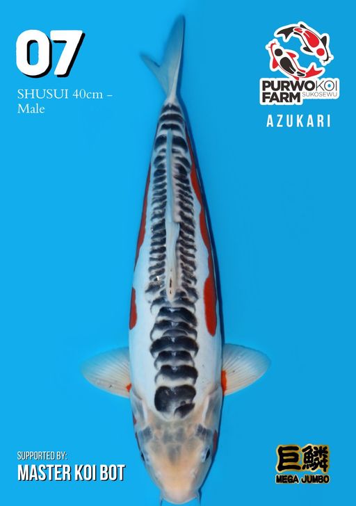 Lelang Koi Online, Jual Beli Ikan Koi, Pusat Jual Beli Koi, Info Lelang Koi Hari Ini, Platform Jual Beli Koi, Jual Beli Ikan Koi Online, Marketplace Ikan Koi, Jual Koi Terbaik, Tempat Beli Koi Berkualitas, Pasar Ikan Koi Online Terpercaya, Penjual Ikan Koi Terpercaya, Beli Koi Hias Online, Ikan Koi untuk Dijual, Koi Kualitas Terbaik, Toko Online Ikan Koi, Koi Hias Untuk Dijual, Jual Beli Ikan Koi Lokal, Koi Indonesia Online, Pusat Jual Beli Koi Terbesar