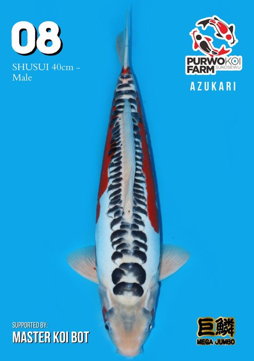 Lelang Koi Online, Jual Beli Ikan Koi, Pusat Jual Beli Koi, Info Lelang Koi Hari Ini, Platform Jual Beli Koi, Jual Beli Ikan Koi Online, Marketplace Ikan Koi, Jual Koi Terbaik, Tempat Beli Koi Berkualitas, Pasar Ikan Koi Online Terpercaya, Penjual Ikan Koi Terpercaya, Beli Koi Hias Online, Ikan Koi untuk Dijual, Koi Kualitas Terbaik, Toko Online Ikan Koi, Koi Hias Untuk Dijual, Jual Beli Ikan Koi Lokal, Koi Indonesia Online, Pusat Jual Beli Koi Terbesar