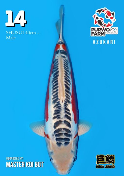 Lelang Koi Online, Jual Beli Ikan Koi, Pusat Jual Beli Koi, Info Lelang Koi Hari Ini, Platform Jual Beli Koi, Jual Beli Ikan Koi Online, Marketplace Ikan Koi, Jual Koi Terbaik, Tempat Beli Koi Berkualitas, Pasar Ikan Koi Online Terpercaya, Penjual Ikan Koi Terpercaya, Beli Koi Hias Online, Ikan Koi untuk Dijual, Koi Kualitas Terbaik, Toko Online Ikan Koi, Koi Hias Untuk Dijual, Jual Beli Ikan Koi Lokal, Koi Indonesia Online, Pusat Jual Beli Koi Terbesar