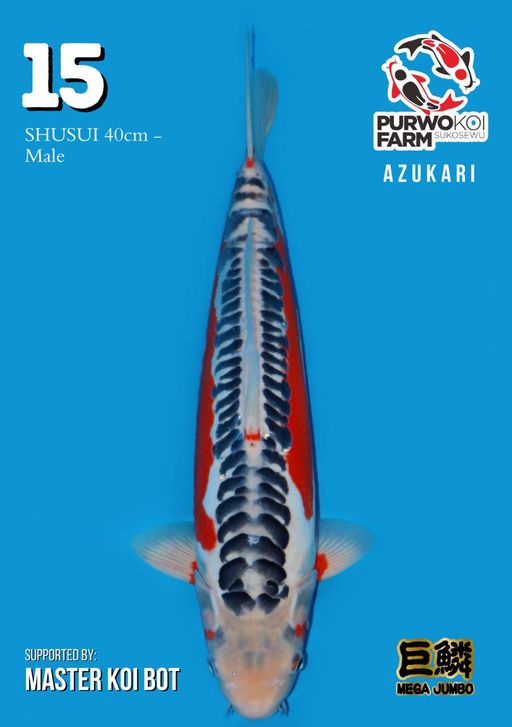 Lelang Koi Online, Jual Beli Ikan Koi, Pusat Jual Beli Koi, Info Lelang Koi Hari Ini, Platform Jual Beli Koi, Jual Beli Ikan Koi Online, Marketplace Ikan Koi, Jual Koi Terbaik, Tempat Beli Koi Berkualitas, Pasar Ikan Koi Online Terpercaya, Penjual Ikan Koi Terpercaya, Beli Koi Hias Online, Ikan Koi untuk Dijual, Koi Kualitas Terbaik, Toko Online Ikan Koi, Koi Hias Untuk Dijual, Jual Beli Ikan Koi Lokal, Koi Indonesia Online, Pusat Jual Beli Koi Terbesar