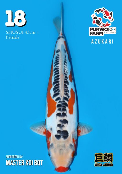 Lelang Koi Online, Jual Beli Ikan Koi, Pusat Jual Beli Koi, Info Lelang Koi Hari Ini, Platform Jual Beli Koi, Jual Beli Ikan Koi Online, Marketplace Ikan Koi, Jual Koi Terbaik, Tempat Beli Koi Berkualitas, Pasar Ikan Koi Online Terpercaya, Penjual Ikan Koi Terpercaya, Beli Koi Hias Online, Ikan Koi untuk Dijual, Koi Kualitas Terbaik, Toko Online Ikan Koi, Koi Hias Untuk Dijual, Jual Beli Ikan Koi Lokal, Koi Indonesia Online, Pusat Jual Beli Koi Terbesar