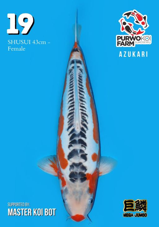 Lelang Koi Online, Jual Beli Ikan Koi, Pusat Jual Beli Koi, Info Lelang Koi Hari Ini, Platform Jual Beli Koi, Jual Beli Ikan Koi Online, Marketplace Ikan Koi, Jual Koi Terbaik, Tempat Beli Koi Berkualitas, Pasar Ikan Koi Online Terpercaya, Penjual Ikan Koi Terpercaya, Beli Koi Hias Online, Ikan Koi untuk Dijual, Koi Kualitas Terbaik, Toko Online Ikan Koi, Koi Hias Untuk Dijual, Jual Beli Ikan Koi Lokal, Koi Indonesia Online, Pusat Jual Beli Koi Terbesar