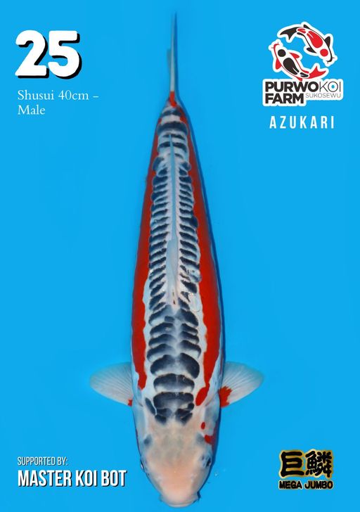 Lelang Koi Online, Jual Beli Ikan Koi, Pusat Jual Beli Koi, Info Lelang Koi Hari Ini, Platform Jual Beli Koi, Jual Beli Ikan Koi Online, Marketplace Ikan Koi, Jual Koi Terbaik, Tempat Beli Koi Berkualitas, Pasar Ikan Koi Online Terpercaya, Penjual Ikan Koi Terpercaya, Beli Koi Hias Online, Ikan Koi untuk Dijual, Koi Kualitas Terbaik, Toko Online Ikan Koi, Koi Hias Untuk Dijual, Jual Beli Ikan Koi Lokal, Koi Indonesia Online, Pusat Jual Beli Koi Terbesar