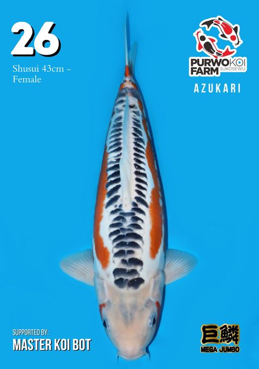 Lelang Koi Online, Jual Beli Ikan Koi, Pusat Jual Beli Koi, Info Lelang Koi Hari Ini, Platform Jual Beli Koi, Jual Beli Ikan Koi Online, Marketplace Ikan Koi, Jual Koi Terbaik, Tempat Beli Koi Berkualitas, Pasar Ikan Koi Online Terpercaya, Penjual Ikan Koi Terpercaya, Beli Koi Hias Online, Ikan Koi untuk Dijual, Koi Kualitas Terbaik, Toko Online Ikan Koi, Koi Hias Untuk Dijual, Jual Beli Ikan Koi Lokal, Koi Indonesia Online, Pusat Jual Beli Koi Terbesar