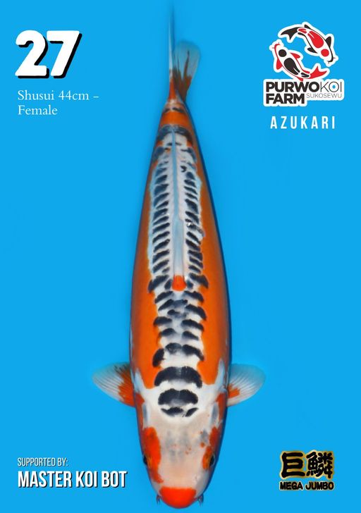 Lelang Koi Online, Jual Beli Ikan Koi, Pusat Jual Beli Koi, Info Lelang Koi Hari Ini, Platform Jual Beli Koi, Jual Beli Ikan Koi Online, Marketplace Ikan Koi, Jual Koi Terbaik, Tempat Beli Koi Berkualitas, Pasar Ikan Koi Online Terpercaya, Penjual Ikan Koi Terpercaya, Beli Koi Hias Online, Ikan Koi untuk Dijual, Koi Kualitas Terbaik, Toko Online Ikan Koi, Koi Hias Untuk Dijual, Jual Beli Ikan Koi Lokal, Koi Indonesia Online, Pusat Jual Beli Koi Terbesar