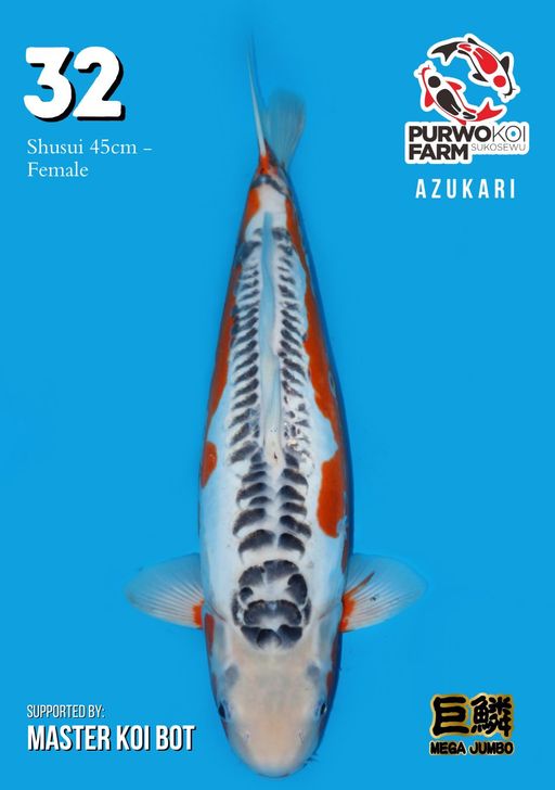 Lelang Koi Online, Jual Beli Ikan Koi, Pusat Jual Beli Koi, Info Lelang Koi Hari Ini, Platform Jual Beli Koi, Jual Beli Ikan Koi Online, Marketplace Ikan Koi, Jual Koi Terbaik, Tempat Beli Koi Berkualitas, Pasar Ikan Koi Online Terpercaya, Penjual Ikan Koi Terpercaya, Beli Koi Hias Online, Ikan Koi untuk Dijual, Koi Kualitas Terbaik, Toko Online Ikan Koi, Koi Hias Untuk Dijual, Jual Beli Ikan Koi Lokal, Koi Indonesia Online, Pusat Jual Beli Koi Terbesar