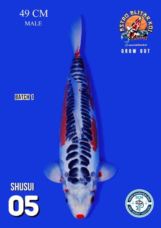 Lelang Koi Online, Jual Beli Ikan Koi, Pusat Jual Beli Koi, Info Lelang Koi Hari Ini, Platform Jual Beli Koi, Jual Beli Ikan Koi Online, Marketplace Ikan Koi, Jual Koi Terbaik, Tempat Beli Koi Berkualitas, Pasar Ikan Koi Online Terpercaya, Penjual Ikan Koi Terpercaya, Beli Koi Hias Online, Ikan Koi untuk Dijual, Koi Kualitas Terbaik, Toko Online Ikan Koi, Koi Hias Untuk Dijual, Jual Beli Ikan Koi Lokal, Koi Indonesia Online, Pusat Jual Beli Koi Terbesar