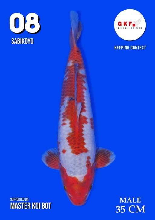 Lelang Koi Online, Jual Beli Ikan Koi, Pusat Jual Beli Koi, Info Lelang Koi Hari Ini, Platform Jual Beli Koi, Jual Beli Ikan Koi Online, Marketplace Ikan Koi, Jual Koi Terbaik, Tempat Beli Koi Berkualitas, Pasar Ikan Koi Online Terpercaya, Penjual Ikan Koi Terpercaya, Beli Koi Hias Online, Ikan Koi untuk Dijual, Koi Kualitas Terbaik, Toko Online Ikan Koi, Koi Hias Untuk Dijual, Jual Beli Ikan Koi Lokal, Koi Indonesia Online, Pusat Jual Beli Koi Terbesar