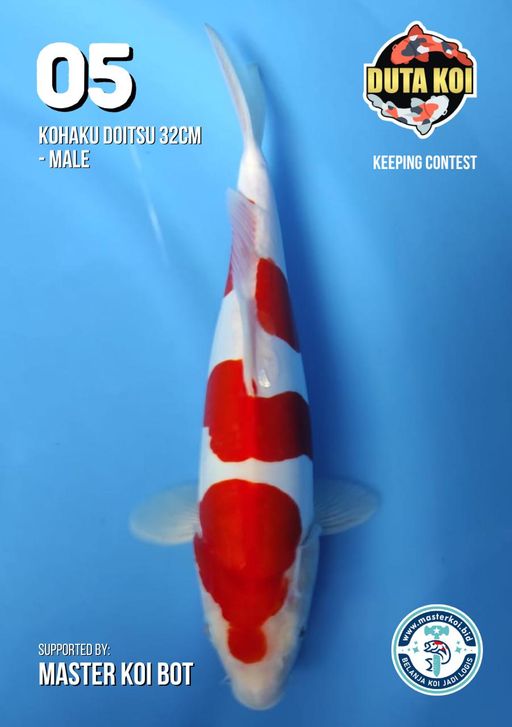 Lelang Koi Online, Jual Beli Ikan Koi, Pusat Jual Beli Koi, Info Lelang Koi Hari Ini, Platform Jual Beli Koi, Jual Beli Ikan Koi Online, Marketplace Ikan Koi, Jual Koi Terbaik, Tempat Beli Koi Berkualitas, Pasar Ikan Koi Online Terpercaya, Penjual Ikan Koi Terpercaya, Beli Koi Hias Online, Ikan Koi untuk Dijual, Koi Kualitas Terbaik, Toko Online Ikan Koi, Koi Hias Untuk Dijual, Jual Beli Ikan Koi Lokal, Koi Indonesia Online, Pusat Jual Beli Koi Terbesar