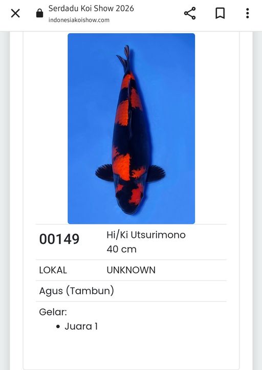 Lelang Koi Online, Jual Beli Ikan Koi, Pusat Jual Beli Koi, Info Lelang Koi Hari Ini, Platform Jual Beli Koi, Jual Beli Ikan Koi Online, Marketplace Ikan Koi, Jual Koi Terbaik, Tempat Beli Koi Berkualitas, Pasar Ikan Koi Online Terpercaya, Penjual Ikan Koi Terpercaya, Beli Koi Hias Online, Ikan Koi untuk Dijual, Koi Kualitas Terbaik, Toko Online Ikan Koi, Koi Hias Untuk Dijual, Jual Beli Ikan Koi Lokal, Koi Indonesia Online, Pusat Jual Beli Koi Terbesar