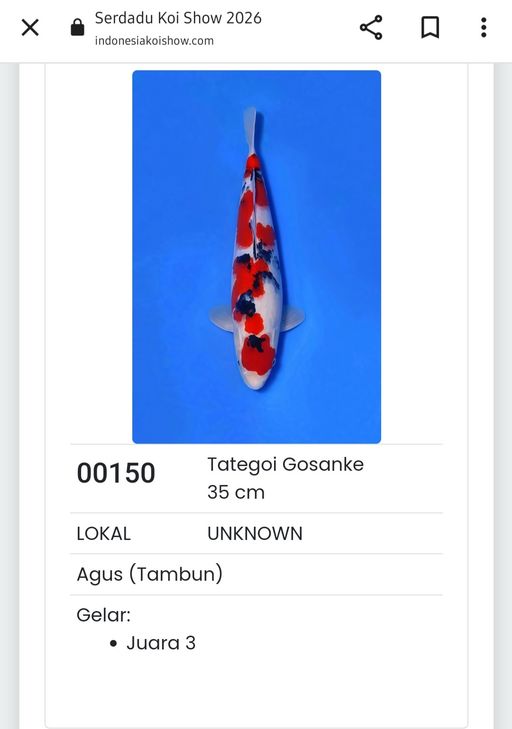 Lelang Koi Online, Jual Beli Ikan Koi, Pusat Jual Beli Koi, Info Lelang Koi Hari Ini, Platform Jual Beli Koi, Jual Beli Ikan Koi Online, Marketplace Ikan Koi, Jual Koi Terbaik, Tempat Beli Koi Berkualitas, Pasar Ikan Koi Online Terpercaya, Penjual Ikan Koi Terpercaya, Beli Koi Hias Online, Ikan Koi untuk Dijual, Koi Kualitas Terbaik, Toko Online Ikan Koi, Koi Hias Untuk Dijual, Jual Beli Ikan Koi Lokal, Koi Indonesia Online, Pusat Jual Beli Koi Terbesar