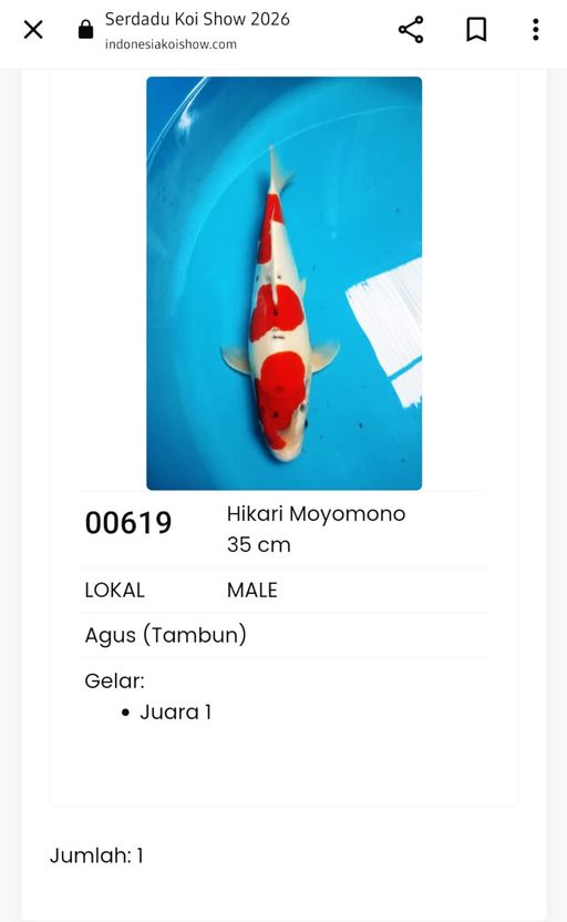 Lelang Koi Online, Jual Beli Ikan Koi, Pusat Jual Beli Koi, Info Lelang Koi Hari Ini, Platform Jual Beli Koi, Jual Beli Ikan Koi Online, Marketplace Ikan Koi, Jual Koi Terbaik, Tempat Beli Koi Berkualitas, Pasar Ikan Koi Online Terpercaya, Penjual Ikan Koi Terpercaya, Beli Koi Hias Online, Ikan Koi untuk Dijual, Koi Kualitas Terbaik, Toko Online Ikan Koi, Koi Hias Untuk Dijual, Jual Beli Ikan Koi Lokal, Koi Indonesia Online, Pusat Jual Beli Koi Terbesar