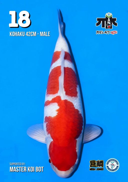 Lelang Koi Online, Jual Beli Ikan Koi, Pusat Jual Beli Koi, Info Lelang Koi Hari Ini, Platform Jual Beli Koi, Jual Beli Ikan Koi Online, Marketplace Ikan Koi, Jual Koi Terbaik, Tempat Beli Koi Berkualitas, Pasar Ikan Koi Online Terpercaya, Penjual Ikan Koi Terpercaya, Beli Koi Hias Online, Ikan Koi untuk Dijual, Koi Kualitas Terbaik, Toko Online Ikan Koi, Koi Hias Untuk Dijual, Jual Beli Ikan Koi Lokal, Koi Indonesia Online, Pusat Jual Beli Koi Terbesar