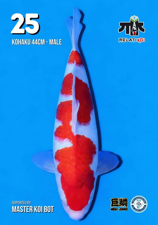 Lelang Koi Online, Jual Beli Ikan Koi, Pusat Jual Beli Koi, Info Lelang Koi Hari Ini, Platform Jual Beli Koi, Jual Beli Ikan Koi Online, Marketplace Ikan Koi, Jual Koi Terbaik, Tempat Beli Koi Berkualitas, Pasar Ikan Koi Online Terpercaya, Penjual Ikan Koi Terpercaya, Beli Koi Hias Online, Ikan Koi untuk Dijual, Koi Kualitas Terbaik, Toko Online Ikan Koi, Koi Hias Untuk Dijual, Jual Beli Ikan Koi Lokal, Koi Indonesia Online, Pusat Jual Beli Koi Terbesar