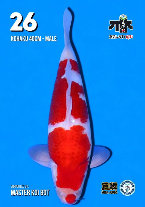 Lelang Koi Online, Jual Beli Ikan Koi, Pusat Jual Beli Koi, Info Lelang Koi Hari Ini, Platform Jual Beli Koi, Jual Beli Ikan Koi Online, Marketplace Ikan Koi, Jual Koi Terbaik, Tempat Beli Koi Berkualitas, Pasar Ikan Koi Online Terpercaya, Penjual Ikan Koi Terpercaya, Beli Koi Hias Online, Ikan Koi untuk Dijual, Koi Kualitas Terbaik, Toko Online Ikan Koi, Koi Hias Untuk Dijual, Jual Beli Ikan Koi Lokal, Koi Indonesia Online, Pusat Jual Beli Koi Terbesar