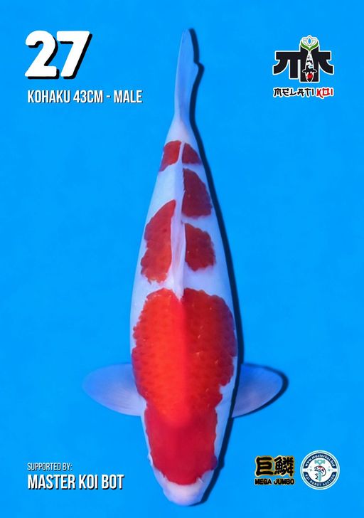 Lelang Koi Online, Jual Beli Ikan Koi, Pusat Jual Beli Koi, Info Lelang Koi Hari Ini, Platform Jual Beli Koi, Jual Beli Ikan Koi Online, Marketplace Ikan Koi, Jual Koi Terbaik, Tempat Beli Koi Berkualitas, Pasar Ikan Koi Online Terpercaya, Penjual Ikan Koi Terpercaya, Beli Koi Hias Online, Ikan Koi untuk Dijual, Koi Kualitas Terbaik, Toko Online Ikan Koi, Koi Hias Untuk Dijual, Jual Beli Ikan Koi Lokal, Koi Indonesia Online, Pusat Jual Beli Koi Terbesar
