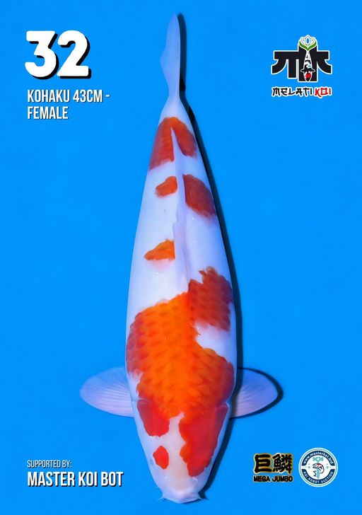 Lelang Koi Online, Jual Beli Ikan Koi, Pusat Jual Beli Koi, Info Lelang Koi Hari Ini, Platform Jual Beli Koi, Jual Beli Ikan Koi Online, Marketplace Ikan Koi, Jual Koi Terbaik, Tempat Beli Koi Berkualitas, Pasar Ikan Koi Online Terpercaya, Penjual Ikan Koi Terpercaya, Beli Koi Hias Online, Ikan Koi untuk Dijual, Koi Kualitas Terbaik, Toko Online Ikan Koi, Koi Hias Untuk Dijual, Jual Beli Ikan Koi Lokal, Koi Indonesia Online, Pusat Jual Beli Koi Terbesar