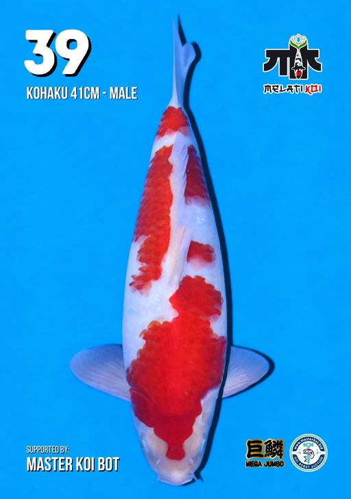 Lelang Koi Online, Jual Beli Ikan Koi, Pusat Jual Beli Koi, Info Lelang Koi Hari Ini, Platform Jual Beli Koi, Jual Beli Ikan Koi Online, Marketplace Ikan Koi, Jual Koi Terbaik, Tempat Beli Koi Berkualitas, Pasar Ikan Koi Online Terpercaya, Penjual Ikan Koi Terpercaya, Beli Koi Hias Online, Ikan Koi untuk Dijual, Koi Kualitas Terbaik, Toko Online Ikan Koi, Koi Hias Untuk Dijual, Jual Beli Ikan Koi Lokal, Koi Indonesia Online, Pusat Jual Beli Koi Terbesar
