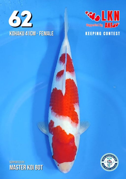 Lelang Koi Online, Jual Beli Ikan Koi, Pusat Jual Beli Koi, Info Lelang Koi Hari Ini, Platform Jual Beli Koi, Jual Beli Ikan Koi Online, Marketplace Ikan Koi, Jual Koi Terbaik, Tempat Beli Koi Berkualitas, Pasar Ikan Koi Online Terpercaya, Penjual Ikan Koi Terpercaya, Beli Koi Hias Online, Ikan Koi untuk Dijual, Koi Kualitas Terbaik, Toko Online Ikan Koi, Koi Hias Untuk Dijual, Jual Beli Ikan Koi Lokal, Koi Indonesia Online, Pusat Jual Beli Koi Terbesar