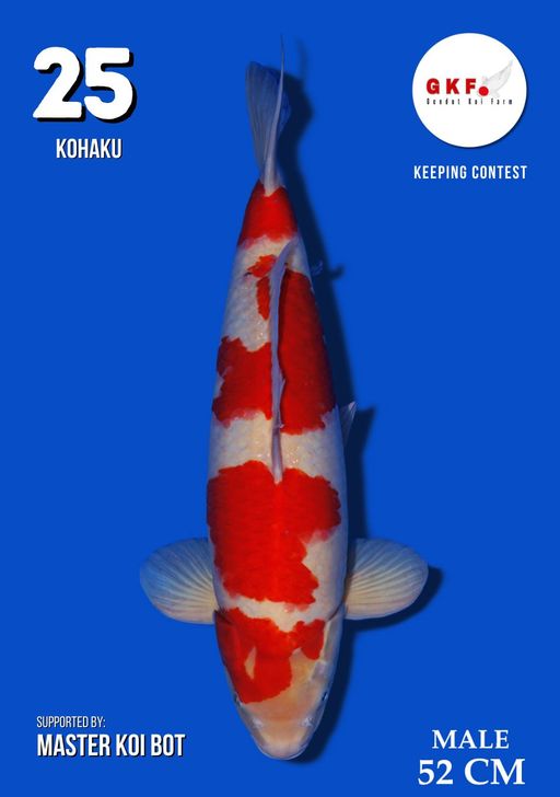 Lelang Koi Online, Jual Beli Ikan Koi, Pusat Jual Beli Koi, Info Lelang Koi Hari Ini, Platform Jual Beli Koi, Jual Beli Ikan Koi Online, Marketplace Ikan Koi, Jual Koi Terbaik, Tempat Beli Koi Berkualitas, Pasar Ikan Koi Online Terpercaya, Penjual Ikan Koi Terpercaya, Beli Koi Hias Online, Ikan Koi untuk Dijual, Koi Kualitas Terbaik, Toko Online Ikan Koi, Koi Hias Untuk Dijual, Jual Beli Ikan Koi Lokal, Koi Indonesia Online, Pusat Jual Beli Koi Terbesar