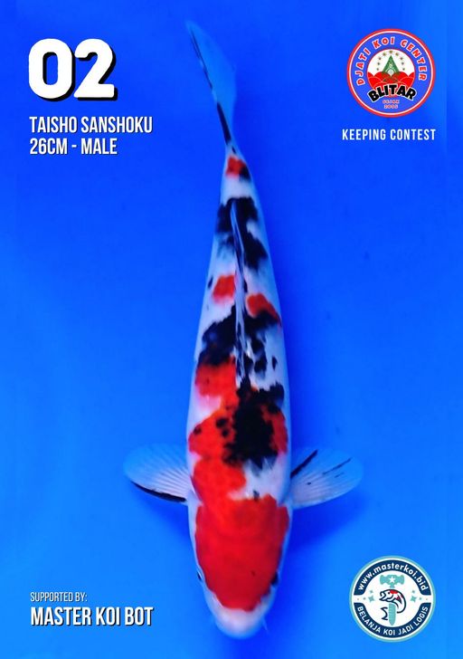 Lelang Koi Online, Jual Beli Ikan Koi, Pusat Jual Beli Koi, Info Lelang Koi Hari Ini, Platform Jual Beli Koi, Jual Beli Ikan Koi Online, Marketplace Ikan Koi, Jual Koi Terbaik, Tempat Beli Koi Berkualitas, Pasar Ikan Koi Online Terpercaya, Penjual Ikan Koi Terpercaya, Beli Koi Hias Online, Ikan Koi untuk Dijual, Koi Kualitas Terbaik, Toko Online Ikan Koi, Koi Hias Untuk Dijual, Jual Beli Ikan Koi Lokal, Koi Indonesia Online, Pusat Jual Beli Koi Terbesar