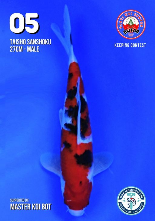 Lelang Koi Online, Jual Beli Ikan Koi, Pusat Jual Beli Koi, Info Lelang Koi Hari Ini, Platform Jual Beli Koi, Jual Beli Ikan Koi Online, Marketplace Ikan Koi, Jual Koi Terbaik, Tempat Beli Koi Berkualitas, Pasar Ikan Koi Online Terpercaya, Penjual Ikan Koi Terpercaya, Beli Koi Hias Online, Ikan Koi untuk Dijual, Koi Kualitas Terbaik, Toko Online Ikan Koi, Koi Hias Untuk Dijual, Jual Beli Ikan Koi Lokal, Koi Indonesia Online, Pusat Jual Beli Koi Terbesar