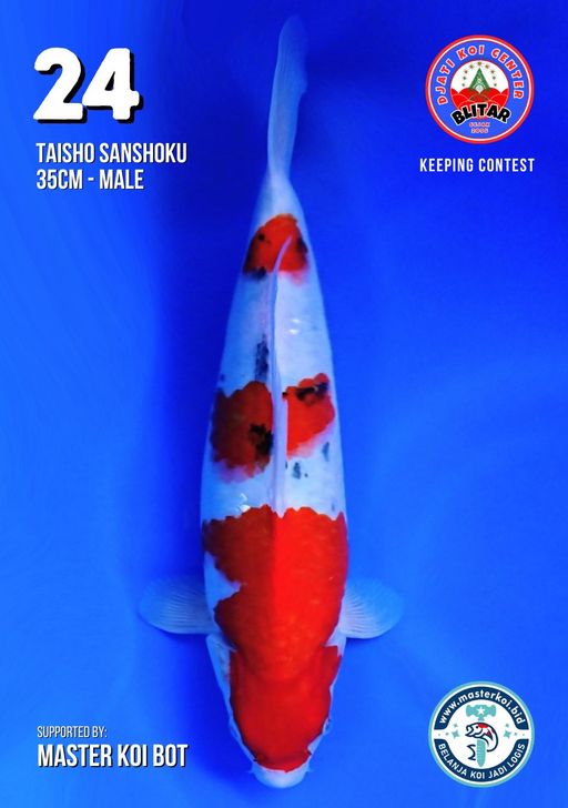 Lelang Koi Online, Jual Beli Ikan Koi, Pusat Jual Beli Koi, Info Lelang Koi Hari Ini, Platform Jual Beli Koi, Jual Beli Ikan Koi Online, Marketplace Ikan Koi, Jual Koi Terbaik, Tempat Beli Koi Berkualitas, Pasar Ikan Koi Online Terpercaya, Penjual Ikan Koi Terpercaya, Beli Koi Hias Online, Ikan Koi untuk Dijual, Koi Kualitas Terbaik, Toko Online Ikan Koi, Koi Hias Untuk Dijual, Jual Beli Ikan Koi Lokal, Koi Indonesia Online, Pusat Jual Beli Koi Terbesar