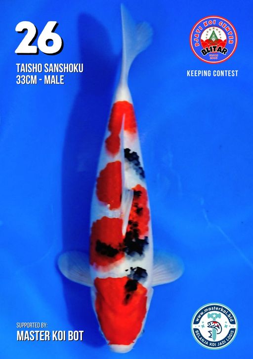 Lelang Koi Online, Jual Beli Ikan Koi, Pusat Jual Beli Koi, Info Lelang Koi Hari Ini, Platform Jual Beli Koi, Jual Beli Ikan Koi Online, Marketplace Ikan Koi, Jual Koi Terbaik, Tempat Beli Koi Berkualitas, Pasar Ikan Koi Online Terpercaya, Penjual Ikan Koi Terpercaya, Beli Koi Hias Online, Ikan Koi untuk Dijual, Koi Kualitas Terbaik, Toko Online Ikan Koi, Koi Hias Untuk Dijual, Jual Beli Ikan Koi Lokal, Koi Indonesia Online, Pusat Jual Beli Koi Terbesar