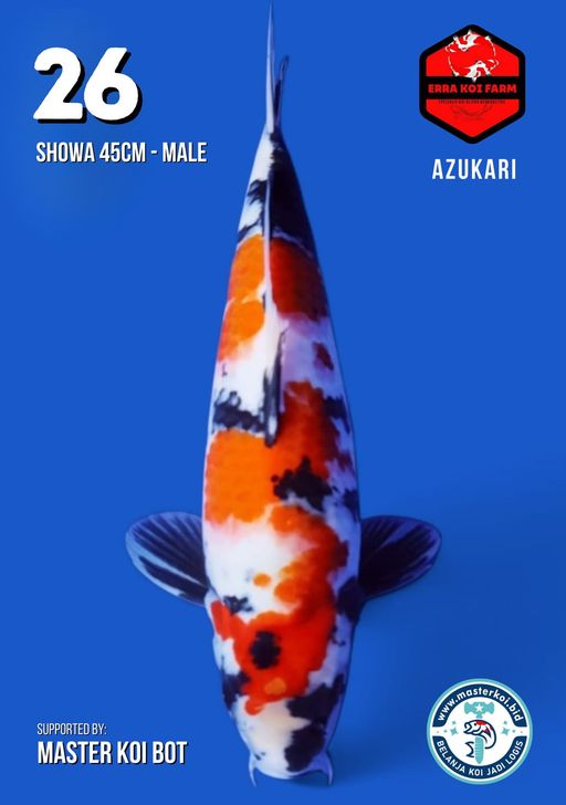 Lelang Koi Online, Jual Beli Ikan Koi, Pusat Jual Beli Koi, Info Lelang Koi Hari Ini, Platform Jual Beli Koi, Jual Beli Ikan Koi Online, Marketplace Ikan Koi, Jual Koi Terbaik, Tempat Beli Koi Berkualitas, Pasar Ikan Koi Online Terpercaya, Penjual Ikan Koi Terpercaya, Beli Koi Hias Online, Ikan Koi untuk Dijual, Koi Kualitas Terbaik, Toko Online Ikan Koi, Koi Hias Untuk Dijual, Jual Beli Ikan Koi Lokal, Koi Indonesia Online, Pusat Jual Beli Koi Terbesar