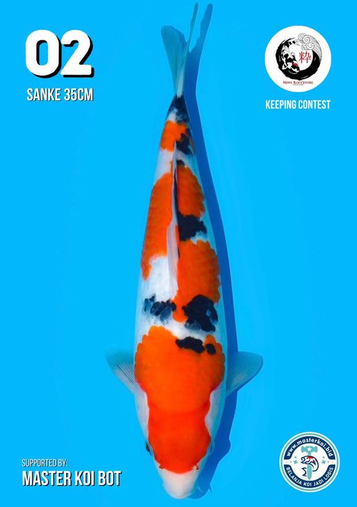 Lelang Koi Online, Jual Beli Ikan Koi, Pusat Jual Beli Koi, Info Lelang Koi Hari Ini, Platform Jual Beli Koi, Jual Beli Ikan Koi Online, Marketplace Ikan Koi, Jual Koi Terbaik, Tempat Beli Koi Berkualitas, Pasar Ikan Koi Online Terpercaya, Penjual Ikan Koi Terpercaya, Beli Koi Hias Online, Ikan Koi untuk Dijual, Koi Kualitas Terbaik, Toko Online Ikan Koi, Koi Hias Untuk Dijual, Jual Beli Ikan Koi Lokal, Koi Indonesia Online, Pusat Jual Beli Koi Terbesar