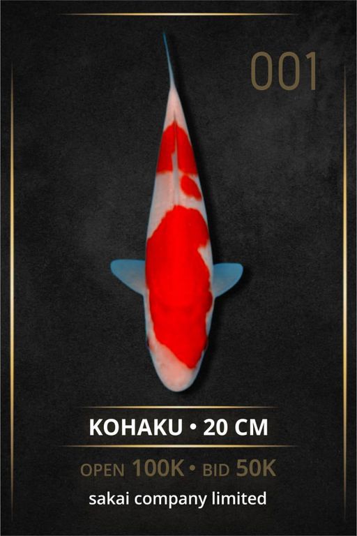 Lelang Koi Online, Jual Beli Ikan Koi, Pusat Jual Beli Koi, Info Lelang Koi Hari Ini, Platform Jual Beli Koi, Jual Beli Ikan Koi Online, Marketplace Ikan Koi, Jual Koi Terbaik, Tempat Beli Koi Berkualitas, Pasar Ikan Koi Online Terpercaya, Penjual Ikan Koi Terpercaya, Beli Koi Hias Online, Ikan Koi untuk Dijual, Koi Kualitas Terbaik, Toko Online Ikan Koi, Koi Hias Untuk Dijual, Jual Beli Ikan Koi Lokal, Koi Indonesia Online, Pusat Jual Beli Koi Terbesar