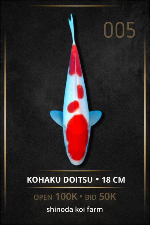 Lelang Koi Online, Jual Beli Ikan Koi, Pusat Jual Beli Koi, Info Lelang Koi Hari Ini, Platform Jual Beli Koi, Jual Beli Ikan Koi Online, Marketplace Ikan Koi, Jual Koi Terbaik, Tempat Beli Koi Berkualitas, Pasar Ikan Koi Online Terpercaya, Penjual Ikan Koi Terpercaya, Beli Koi Hias Online, Ikan Koi untuk Dijual, Koi Kualitas Terbaik, Toko Online Ikan Koi, Koi Hias Untuk Dijual, Jual Beli Ikan Koi Lokal, Koi Indonesia Online, Pusat Jual Beli Koi Terbesar