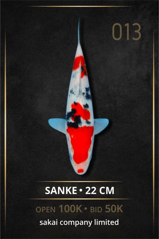 Lelang Koi Online, Jual Beli Ikan Koi, Pusat Jual Beli Koi, Info Lelang Koi Hari Ini, Platform Jual Beli Koi, Jual Beli Ikan Koi Online, Marketplace Ikan Koi, Jual Koi Terbaik, Tempat Beli Koi Berkualitas, Pasar Ikan Koi Online Terpercaya, Penjual Ikan Koi Terpercaya, Beli Koi Hias Online, Ikan Koi untuk Dijual, Koi Kualitas Terbaik, Toko Online Ikan Koi, Koi Hias Untuk Dijual, Jual Beli Ikan Koi Lokal, Koi Indonesia Online, Pusat Jual Beli Koi Terbesar