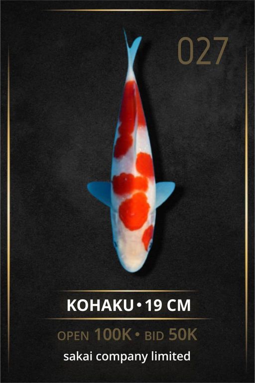 Lelang Koi Online, Jual Beli Ikan Koi, Pusat Jual Beli Koi, Info Lelang Koi Hari Ini, Platform Jual Beli Koi, Jual Beli Ikan Koi Online, Marketplace Ikan Koi, Jual Koi Terbaik, Tempat Beli Koi Berkualitas, Pasar Ikan Koi Online Terpercaya, Penjual Ikan Koi Terpercaya, Beli Koi Hias Online, Ikan Koi untuk Dijual, Koi Kualitas Terbaik, Toko Online Ikan Koi, Koi Hias Untuk Dijual, Jual Beli Ikan Koi Lokal, Koi Indonesia Online, Pusat Jual Beli Koi Terbesar