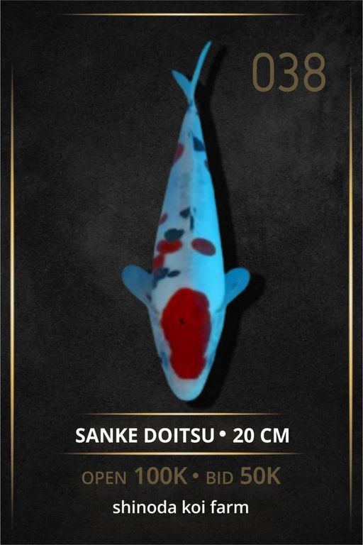 Lelang Koi Online, Jual Beli Ikan Koi, Pusat Jual Beli Koi, Info Lelang Koi Hari Ini, Platform Jual Beli Koi, Jual Beli Ikan Koi Online, Marketplace Ikan Koi, Jual Koi Terbaik, Tempat Beli Koi Berkualitas, Pasar Ikan Koi Online Terpercaya, Penjual Ikan Koi Terpercaya, Beli Koi Hias Online, Ikan Koi untuk Dijual, Koi Kualitas Terbaik, Toko Online Ikan Koi, Koi Hias Untuk Dijual, Jual Beli Ikan Koi Lokal, Koi Indonesia Online, Pusat Jual Beli Koi Terbesar