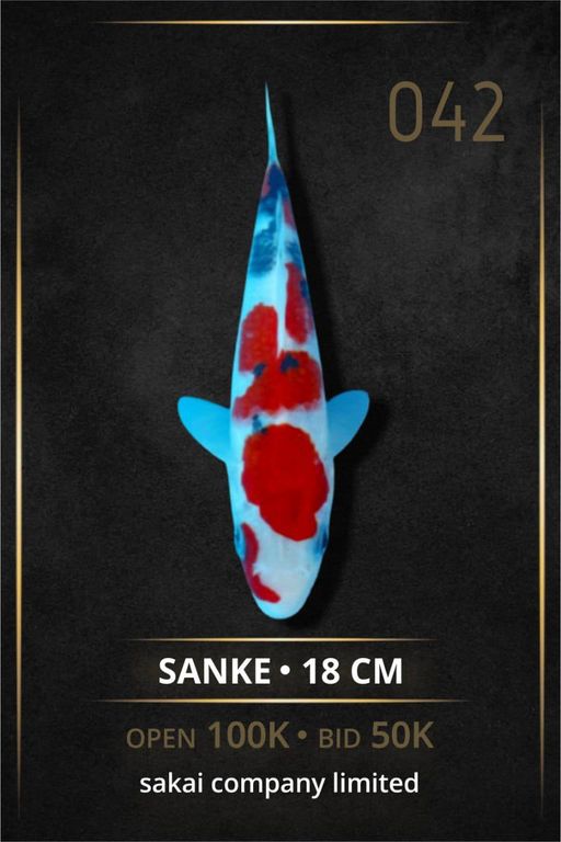 Lelang Koi Online, Jual Beli Ikan Koi, Pusat Jual Beli Koi, Info Lelang Koi Hari Ini, Platform Jual Beli Koi, Jual Beli Ikan Koi Online, Marketplace Ikan Koi, Jual Koi Terbaik, Tempat Beli Koi Berkualitas, Pasar Ikan Koi Online Terpercaya, Penjual Ikan Koi Terpercaya, Beli Koi Hias Online, Ikan Koi untuk Dijual, Koi Kualitas Terbaik, Toko Online Ikan Koi, Koi Hias Untuk Dijual, Jual Beli Ikan Koi Lokal, Koi Indonesia Online, Pusat Jual Beli Koi Terbesar