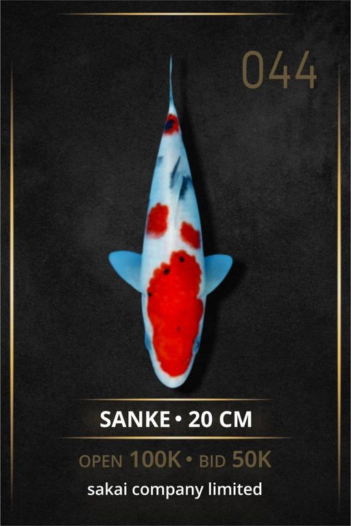 Lelang Koi Online, Jual Beli Ikan Koi, Pusat Jual Beli Koi, Info Lelang Koi Hari Ini, Platform Jual Beli Koi, Jual Beli Ikan Koi Online, Marketplace Ikan Koi, Jual Koi Terbaik, Tempat Beli Koi Berkualitas, Pasar Ikan Koi Online Terpercaya, Penjual Ikan Koi Terpercaya, Beli Koi Hias Online, Ikan Koi untuk Dijual, Koi Kualitas Terbaik, Toko Online Ikan Koi, Koi Hias Untuk Dijual, Jual Beli Ikan Koi Lokal, Koi Indonesia Online, Pusat Jual Beli Koi Terbesar