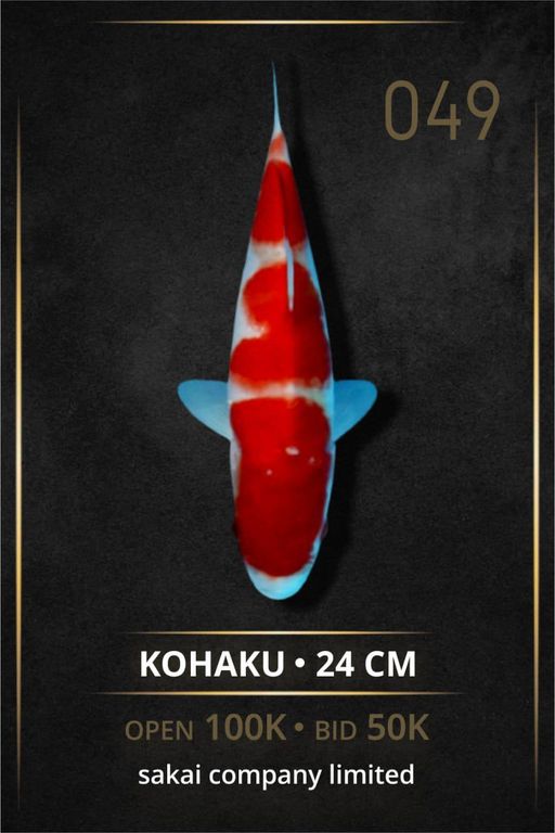Lelang Koi Online, Jual Beli Ikan Koi, Pusat Jual Beli Koi, Info Lelang Koi Hari Ini, Platform Jual Beli Koi, Jual Beli Ikan Koi Online, Marketplace Ikan Koi, Jual Koi Terbaik, Tempat Beli Koi Berkualitas, Pasar Ikan Koi Online Terpercaya, Penjual Ikan Koi Terpercaya, Beli Koi Hias Online, Ikan Koi untuk Dijual, Koi Kualitas Terbaik, Toko Online Ikan Koi, Koi Hias Untuk Dijual, Jual Beli Ikan Koi Lokal, Koi Indonesia Online, Pusat Jual Beli Koi Terbesar
