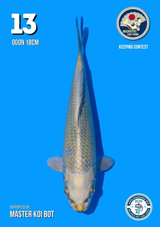 Lelang Koi Online, Jual Beli Ikan Koi, Pusat Jual Beli Koi, Info Lelang Koi Hari Ini, Platform Jual Beli Koi, Jual Beli Ikan Koi Online, Marketplace Ikan Koi, Jual Koi Terbaik, Tempat Beli Koi Berkualitas, Pasar Ikan Koi Online Terpercaya, Penjual Ikan Koi Terpercaya, Beli Koi Hias Online, Ikan Koi untuk Dijual, Koi Kualitas Terbaik, Toko Online Ikan Koi, Koi Hias Untuk Dijual, Jual Beli Ikan Koi Lokal, Koi Indonesia Online, Pusat Jual Beli Koi Terbesar