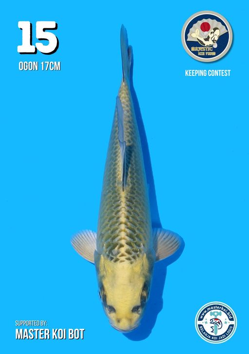 Lelang Koi Online, Jual Beli Ikan Koi, Pusat Jual Beli Koi, Info Lelang Koi Hari Ini, Platform Jual Beli Koi, Jual Beli Ikan Koi Online, Marketplace Ikan Koi, Jual Koi Terbaik, Tempat Beli Koi Berkualitas, Pasar Ikan Koi Online Terpercaya, Penjual Ikan Koi Terpercaya, Beli Koi Hias Online, Ikan Koi untuk Dijual, Koi Kualitas Terbaik, Toko Online Ikan Koi, Koi Hias Untuk Dijual, Jual Beli Ikan Koi Lokal, Koi Indonesia Online, Pusat Jual Beli Koi Terbesar