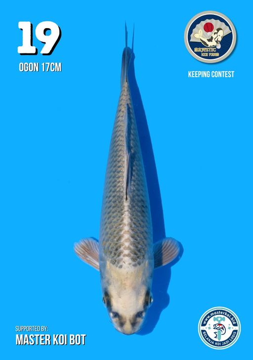 Lelang Koi Online, Jual Beli Ikan Koi, Pusat Jual Beli Koi, Info Lelang Koi Hari Ini, Platform Jual Beli Koi, Jual Beli Ikan Koi Online, Marketplace Ikan Koi, Jual Koi Terbaik, Tempat Beli Koi Berkualitas, Pasar Ikan Koi Online Terpercaya, Penjual Ikan Koi Terpercaya, Beli Koi Hias Online, Ikan Koi untuk Dijual, Koi Kualitas Terbaik, Toko Online Ikan Koi, Koi Hias Untuk Dijual, Jual Beli Ikan Koi Lokal, Koi Indonesia Online, Pusat Jual Beli Koi Terbesar