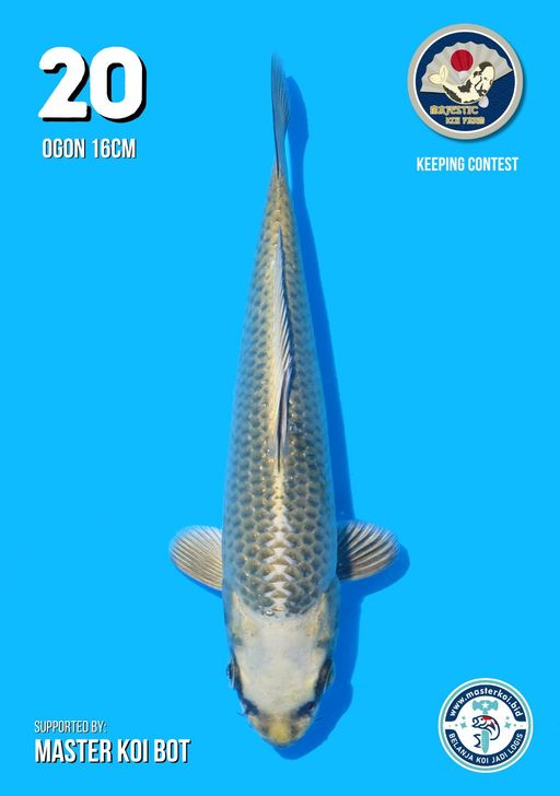 Lelang Koi Online, Jual Beli Ikan Koi, Pusat Jual Beli Koi, Info Lelang Koi Hari Ini, Platform Jual Beli Koi, Jual Beli Ikan Koi Online, Marketplace Ikan Koi, Jual Koi Terbaik, Tempat Beli Koi Berkualitas, Pasar Ikan Koi Online Terpercaya, Penjual Ikan Koi Terpercaya, Beli Koi Hias Online, Ikan Koi untuk Dijual, Koi Kualitas Terbaik, Toko Online Ikan Koi, Koi Hias Untuk Dijual, Jual Beli Ikan Koi Lokal, Koi Indonesia Online, Pusat Jual Beli Koi Terbesar