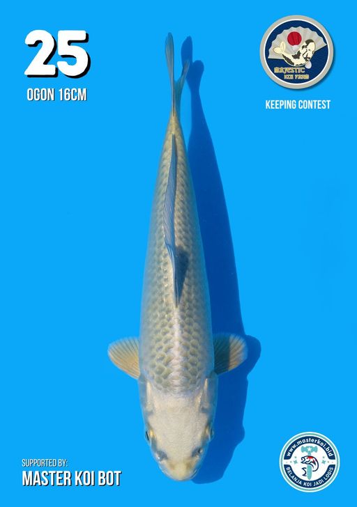 Lelang Koi Online, Jual Beli Ikan Koi, Pusat Jual Beli Koi, Info Lelang Koi Hari Ini, Platform Jual Beli Koi, Jual Beli Ikan Koi Online, Marketplace Ikan Koi, Jual Koi Terbaik, Tempat Beli Koi Berkualitas, Pasar Ikan Koi Online Terpercaya, Penjual Ikan Koi Terpercaya, Beli Koi Hias Online, Ikan Koi untuk Dijual, Koi Kualitas Terbaik, Toko Online Ikan Koi, Koi Hias Untuk Dijual, Jual Beli Ikan Koi Lokal, Koi Indonesia Online, Pusat Jual Beli Koi Terbesar