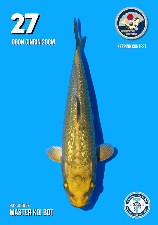 Lelang Koi Online, Jual Beli Ikan Koi, Pusat Jual Beli Koi, Info Lelang Koi Hari Ini, Platform Jual Beli Koi, Jual Beli Ikan Koi Online, Marketplace Ikan Koi, Jual Koi Terbaik, Tempat Beli Koi Berkualitas, Pasar Ikan Koi Online Terpercaya, Penjual Ikan Koi Terpercaya, Beli Koi Hias Online, Ikan Koi untuk Dijual, Koi Kualitas Terbaik, Toko Online Ikan Koi, Koi Hias Untuk Dijual, Jual Beli Ikan Koi Lokal, Koi Indonesia Online, Pusat Jual Beli Koi Terbesar