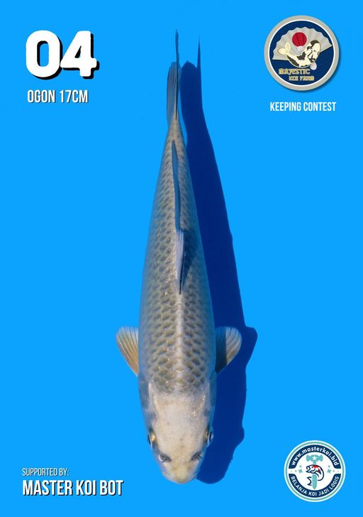 Lelang Koi Online, Jual Beli Ikan Koi, Pusat Jual Beli Koi, Info Lelang Koi Hari Ini, Platform Jual Beli Koi, Jual Beli Ikan Koi Online, Marketplace Ikan Koi, Jual Koi Terbaik, Tempat Beli Koi Berkualitas, Pasar Ikan Koi Online Terpercaya, Penjual Ikan Koi Terpercaya, Beli Koi Hias Online, Ikan Koi untuk Dijual, Koi Kualitas Terbaik, Toko Online Ikan Koi, Koi Hias Untuk Dijual, Jual Beli Ikan Koi Lokal, Koi Indonesia Online, Pusat Jual Beli Koi Terbesar