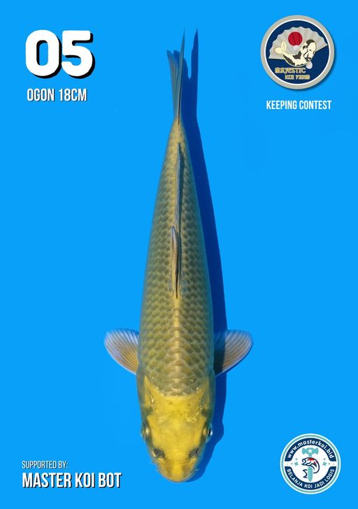 Lelang Koi Online, Jual Beli Ikan Koi, Pusat Jual Beli Koi, Info Lelang Koi Hari Ini, Platform Jual Beli Koi, Jual Beli Ikan Koi Online, Marketplace Ikan Koi, Jual Koi Terbaik, Tempat Beli Koi Berkualitas, Pasar Ikan Koi Online Terpercaya, Penjual Ikan Koi Terpercaya, Beli Koi Hias Online, Ikan Koi untuk Dijual, Koi Kualitas Terbaik, Toko Online Ikan Koi, Koi Hias Untuk Dijual, Jual Beli Ikan Koi Lokal, Koi Indonesia Online, Pusat Jual Beli Koi Terbesar