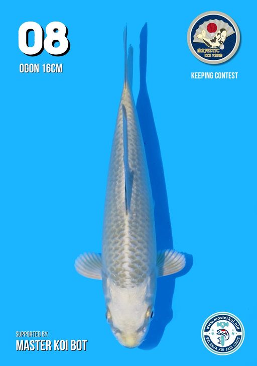 Lelang Koi Online, Jual Beli Ikan Koi, Pusat Jual Beli Koi, Info Lelang Koi Hari Ini, Platform Jual Beli Koi, Jual Beli Ikan Koi Online, Marketplace Ikan Koi, Jual Koi Terbaik, Tempat Beli Koi Berkualitas, Pasar Ikan Koi Online Terpercaya, Penjual Ikan Koi Terpercaya, Beli Koi Hias Online, Ikan Koi untuk Dijual, Koi Kualitas Terbaik, Toko Online Ikan Koi, Koi Hias Untuk Dijual, Jual Beli Ikan Koi Lokal, Koi Indonesia Online, Pusat Jual Beli Koi Terbesar