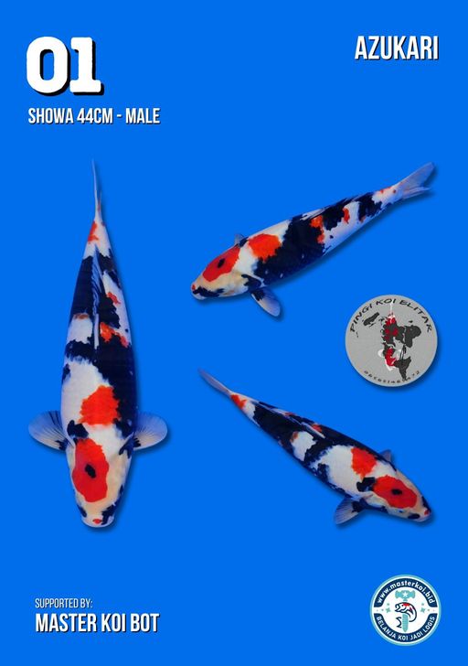 Lelang Koi Online, Jual Beli Ikan Koi, Pusat Jual Beli Koi, Info Lelang Koi Hari Ini, Platform Jual Beli Koi, Jual Beli Ikan Koi Online, Marketplace Ikan Koi, Jual Koi Terbaik, Tempat Beli Koi Berkualitas, Pasar Ikan Koi Online Terpercaya, Penjual Ikan Koi Terpercaya, Beli Koi Hias Online, Ikan Koi untuk Dijual, Koi Kualitas Terbaik, Toko Online Ikan Koi, Koi Hias Untuk Dijual, Jual Beli Ikan Koi Lokal, Koi Indonesia Online, Pusat Jual Beli Koi Terbesar