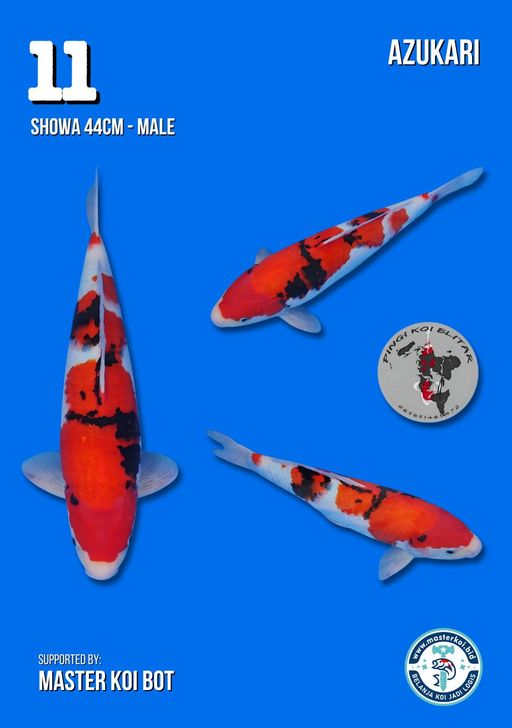 Lelang Koi Online, Jual Beli Ikan Koi, Pusat Jual Beli Koi, Info Lelang Koi Hari Ini, Platform Jual Beli Koi, Jual Beli Ikan Koi Online, Marketplace Ikan Koi, Jual Koi Terbaik, Tempat Beli Koi Berkualitas, Pasar Ikan Koi Online Terpercaya, Penjual Ikan Koi Terpercaya, Beli Koi Hias Online, Ikan Koi untuk Dijual, Koi Kualitas Terbaik, Toko Online Ikan Koi, Koi Hias Untuk Dijual, Jual Beli Ikan Koi Lokal, Koi Indonesia Online, Pusat Jual Beli Koi Terbesar