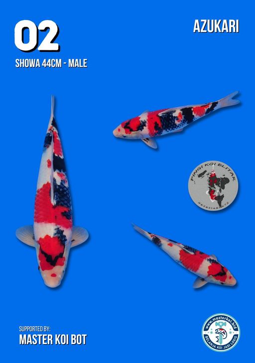 Lelang Koi Online, Jual Beli Ikan Koi, Pusat Jual Beli Koi, Info Lelang Koi Hari Ini, Platform Jual Beli Koi, Jual Beli Ikan Koi Online, Marketplace Ikan Koi, Jual Koi Terbaik, Tempat Beli Koi Berkualitas, Pasar Ikan Koi Online Terpercaya, Penjual Ikan Koi Terpercaya, Beli Koi Hias Online, Ikan Koi untuk Dijual, Koi Kualitas Terbaik, Toko Online Ikan Koi, Koi Hias Untuk Dijual, Jual Beli Ikan Koi Lokal, Koi Indonesia Online, Pusat Jual Beli Koi Terbesar